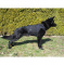 image_EwImage=26c506e6-b790-4a41-81a1-4a9d237e3b40&Filter=042cdaac-4610-40de-a462-c4d4435cec81.jpg