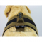 image_EwImage=2acffa0f-4839-41f7-b213-36ee08eb6b77&Filter=042cdaac-4610-40de-a462-c4d4435cec81.jpg