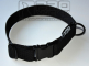 image_EwImage=4007f4d6-2358-4f9f-9dd3-d1b305ec0d0c&Filter=042cdaac-4610-40de-a462-c4d4435cec81.jpg