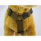 image_EwImage=6527d1a0-d3a5-41f6-88fe-3280ce242e34&Filter=042cdaac-4610-40de-a462-c4d4435cec81.jpg