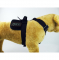 image_EwImage=6a0a4b77-06d7-4b18-ab30-56306919eb36&Filter=042cdaac-4610-40de-a462-c4d4435cec81.jpg