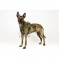 image_EwImage=b2ad70f6-24a6-40f4-bd14-5bd7cd0ece6a&Filter=042cdaac-4610-40de-a462-c4d4435cec81.jpg