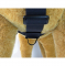 image_EwImage=ce372b21-cf86-40d5-b1e5-8f54b102e60f&Filter=042cdaac-4610-40de-a462-c4d4435cec81.jpg